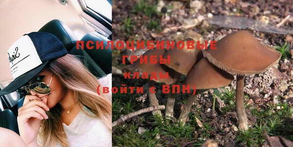 прущая мука Армянск
