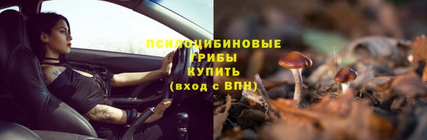 прущая мука Армянск