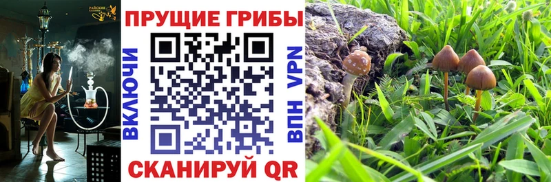 Псилоцибиновые грибы прущие грибы  закладки  Кукмор 